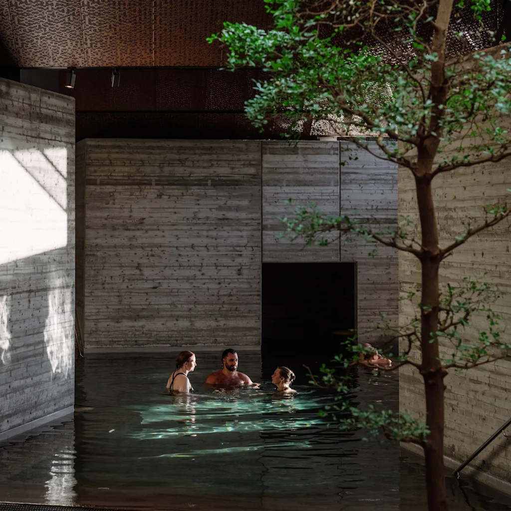 People relaxing in a serene indoor pool with concrete walls and natural light, a tree stands nearby.