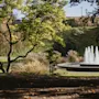 En fredelig parkscene med et vandfontæne, livlige grønne træer og prydgræsser på en solrig dag.
