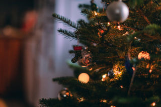 christmas-tree-close-up