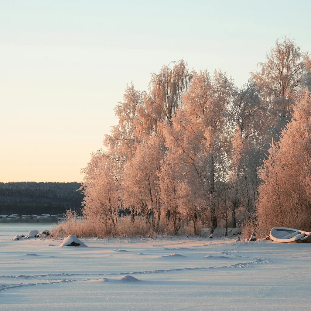 A serene winter landscape in Luleå with frost-covered trees, a frozen lake with ski tracks, and a small boat on the shore.