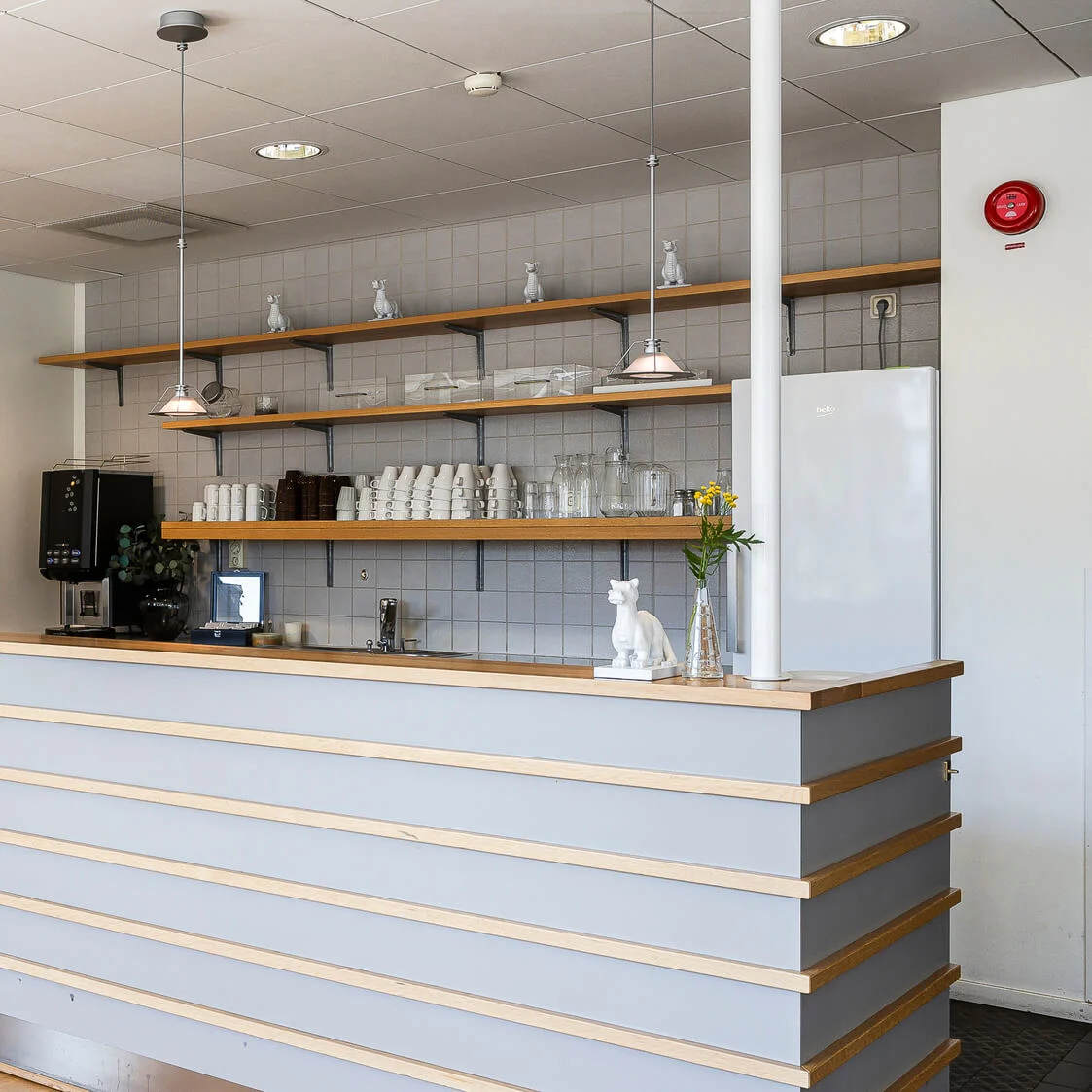 Ett rent cafédisken med en kaffemaskin och hyllor med porslin, i ett välbelyst, modernt inre rum.