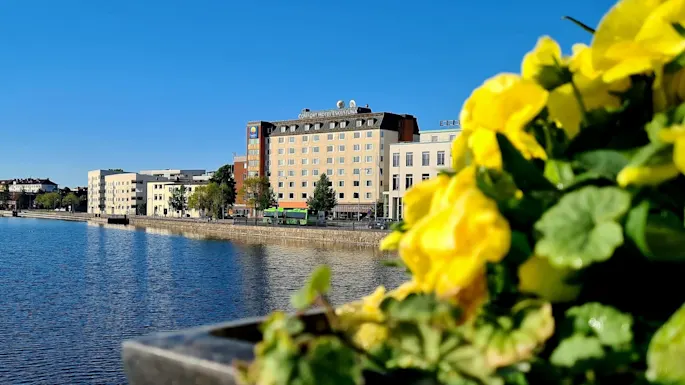 Gule blomster rammer inn en utsikt over bygninger langs en elv under en klar blå himmel. Et skilt lyder "COMFORT HOTEL" på den største bygningen.