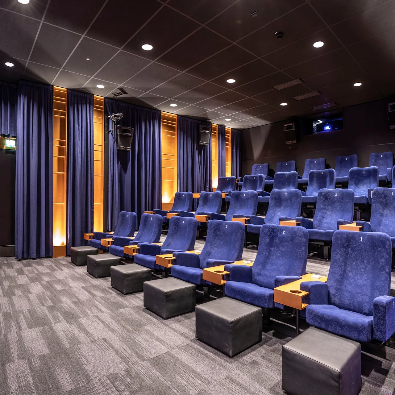 A small theater with blue cushioned chairs arranged in tiers faces a screen. The setting is intimate, with dark drapes and soft lighting creating a cozy ambiance. Text: “bobbio” on the left wall.