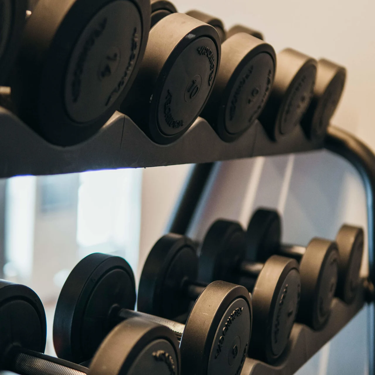 Dumbbells rest on a metal rack in a gym environment, arranged in rows. Visible text: "Technogym" and various weight numbers such as “10”. 