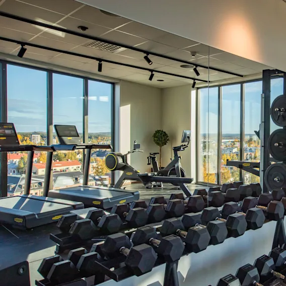 Hantlar och viktskivor är arrangerade i ett väl upplyst gym med löpband och motionscyklar mot stora fönster med utsikt över en stadsmiljö under dagen.