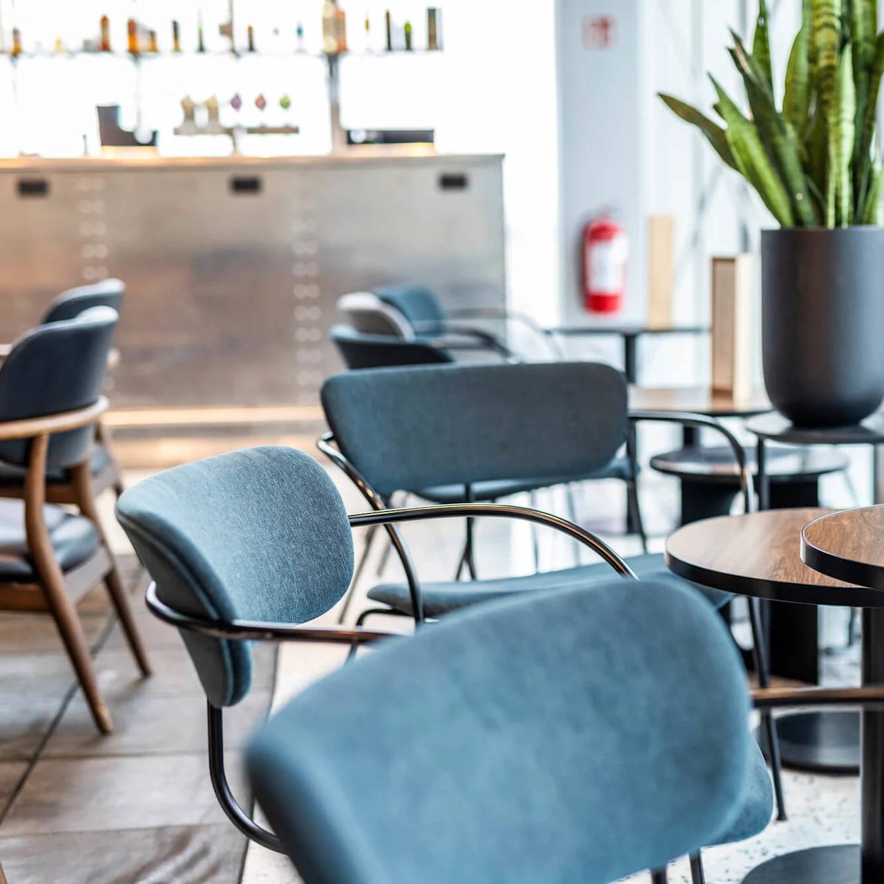 Et stilig sitteområde med moderne blå stoler og trebord, med en elegant bar i bakgrunnen og en høy grønn plante i en svart potte, som skaper en koselig og sofistikert atmosfære.