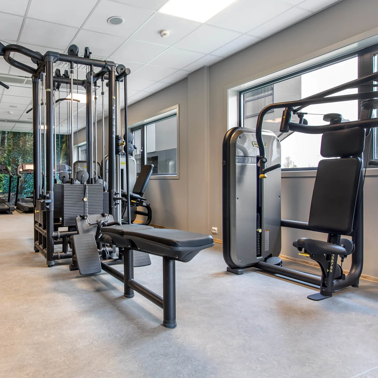 Gym equipment stands idle in a well-lit room, featuring weight machines and treadmills against a mural of a wooded path, creating a serene exercise environment.