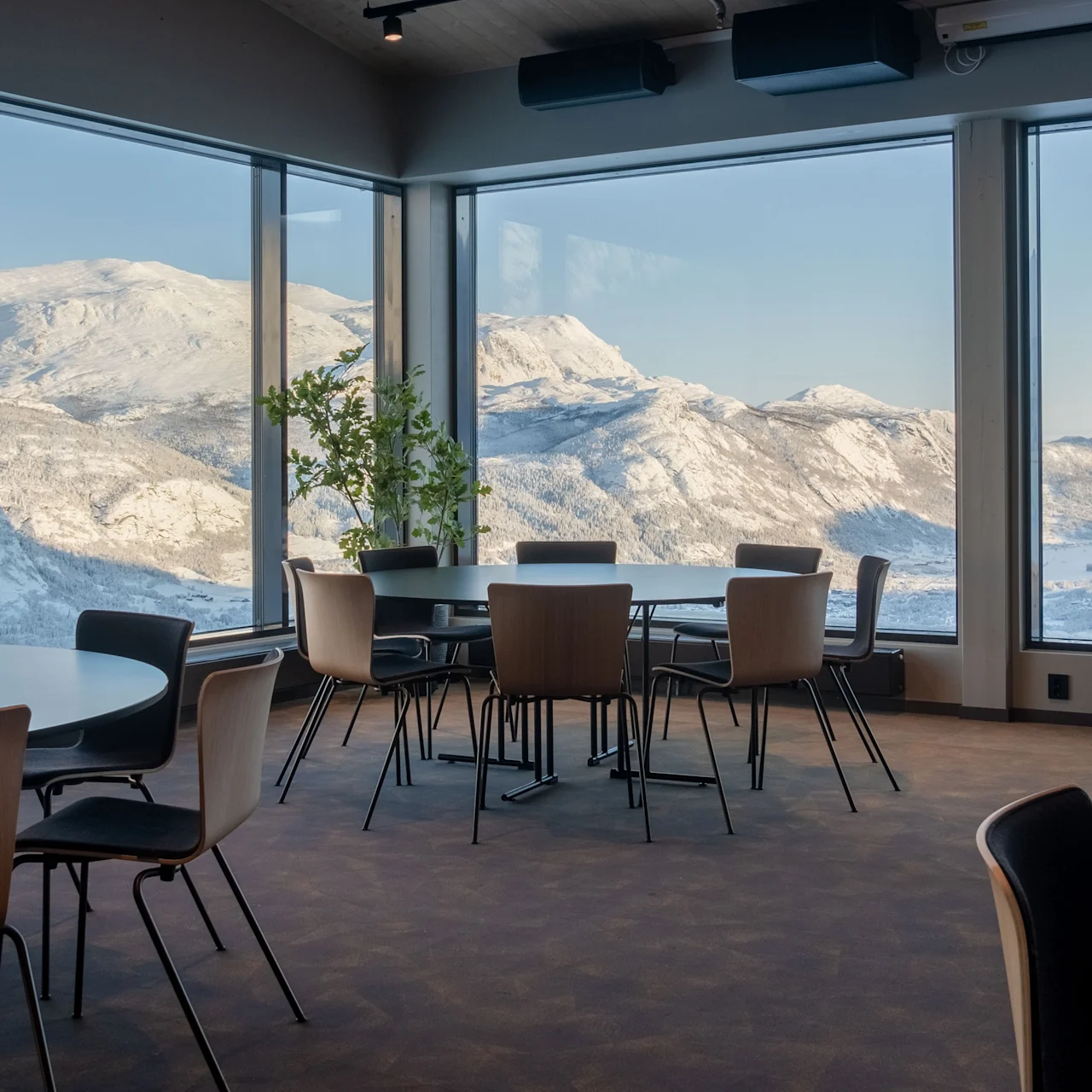 Tables and chairs are arranged in a cozy room with large windows showcasing a snowy mountain landscape. A plant adds greenery to the serene interior.