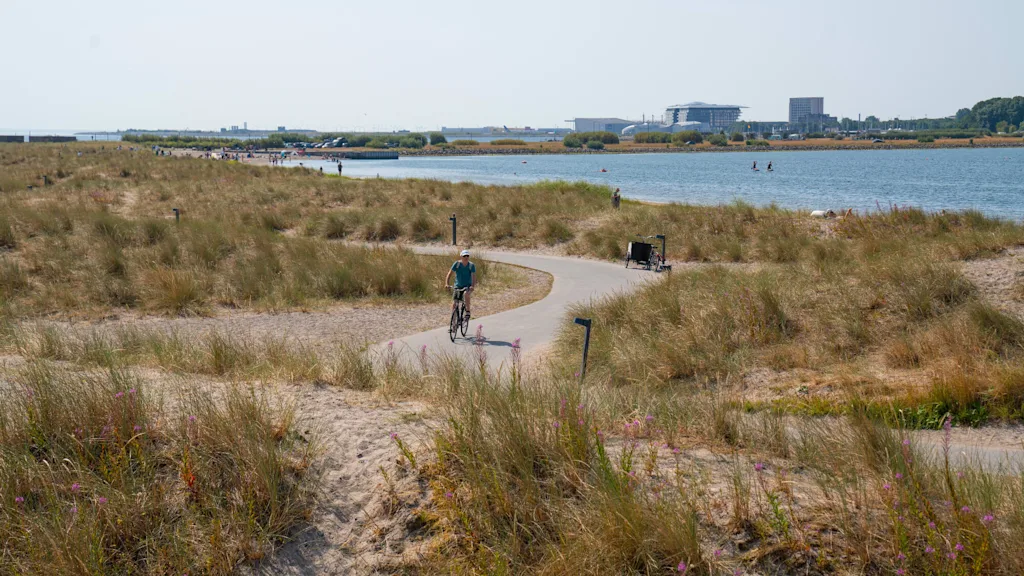 Man cyklar genom Ámager Strandpark i Köpenhamn.