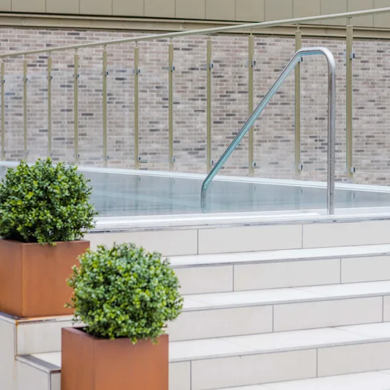 A swimming pool with metal handrails is surrounded by a glass fence and brick walls. Steps leading to the pool are adorned with two large green plants in square, rust-colored pots.