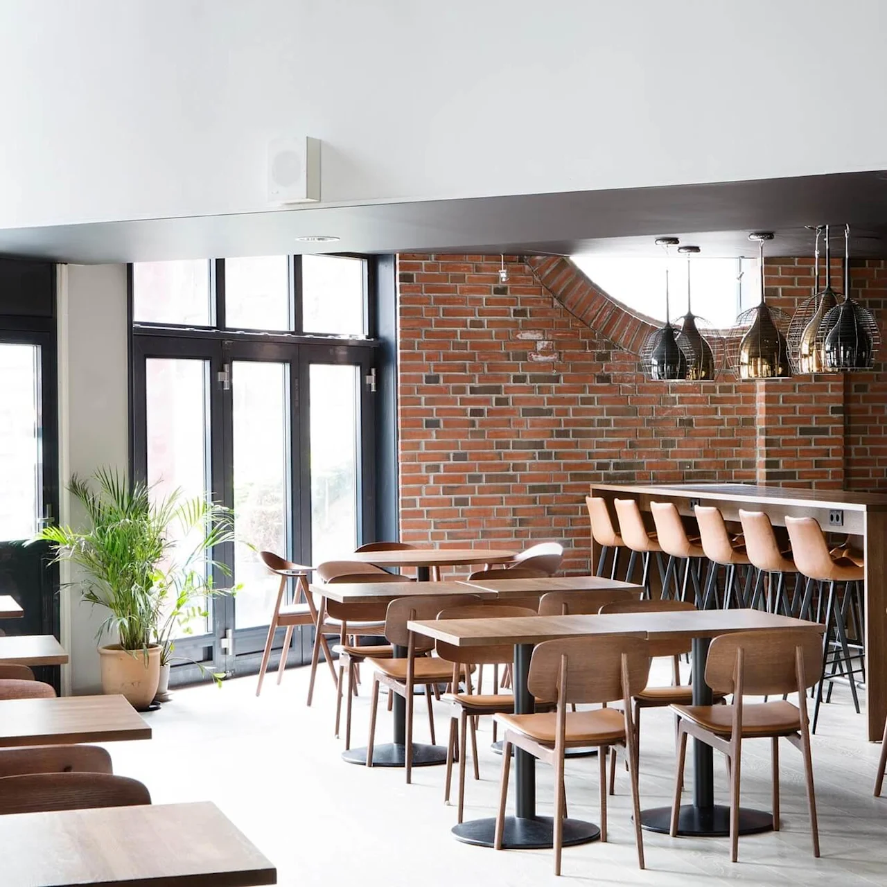 Borde og stole er arrangeret i en moderne café med murstensvæg, store vinduer og hængende lamper. En potteplante giver grønt ved indgangen.