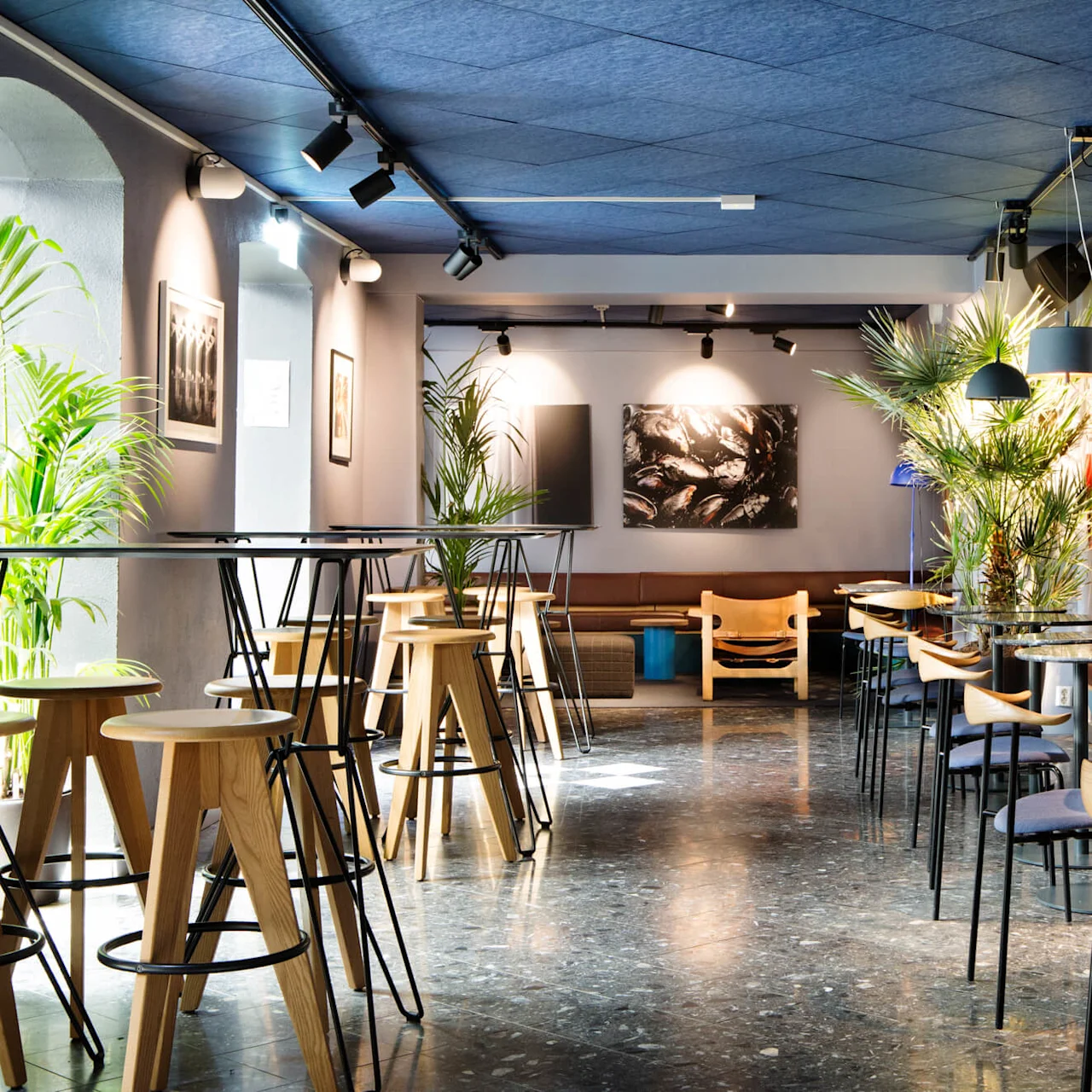 Høye bord og krakker er arrangert i en moderne kafé. Trestoler og planter forbedrer atmosfæren. Kunstverk pryder veggene, noe som skaper en stilig, avslappet atmosfære.