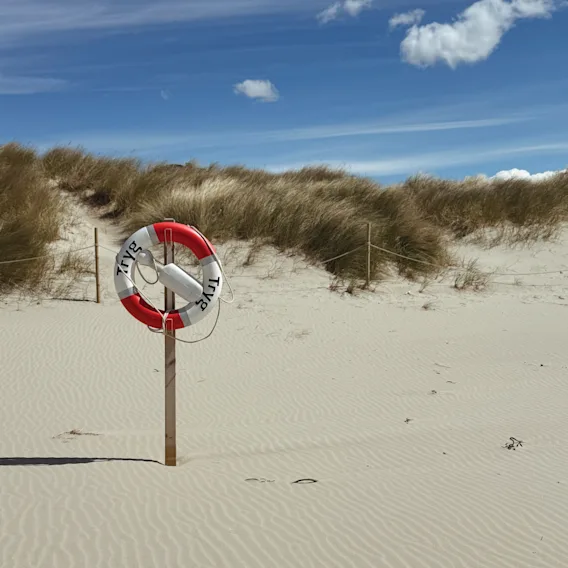 En livbøye med teksten TRYG på en sandstrand med sanddyner og blå himmel.