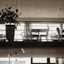 Bord och stolar är arrangerade på en övre nivå, omgivna av glasräcken med en stor krukväxt. Taklampor hänger nedanför och skapar en modern kaféatmosfär.