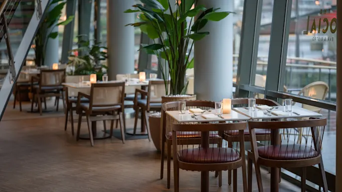 Tables set with cutlery and candles are placed alongside a window in a modern restaurant, adorned with large green plants. Visible text: "The Social Bar & Bistro".