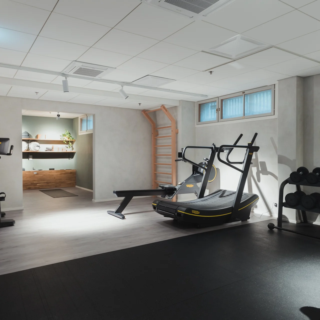 Træningsudstyr står i et godt oplyst hjemmefitnessrum med lyse trægulve. Et løbebånd, motionscykel og håndvægtsstativ er placeret nær en væg med blåtonede vinduer.