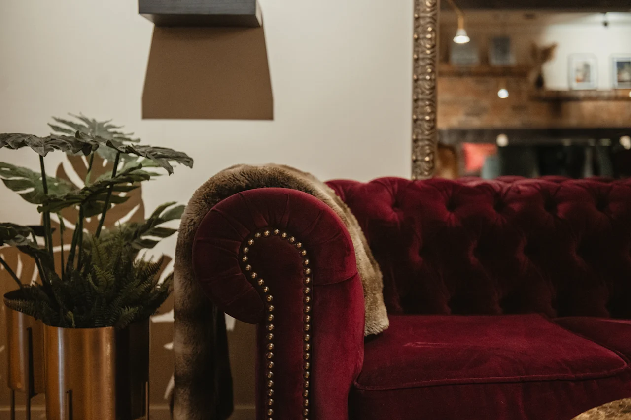 En plysch röd sammetssoffa med en fuskpälspläd, bredvid en stor krukväxt, vilket skapar en mysig och inbjudande atmosfär.