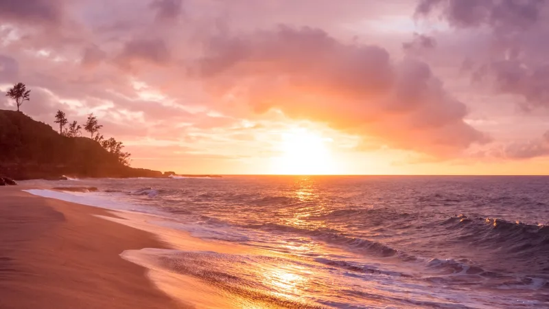 Sunset on a beach near a rain forrest. 