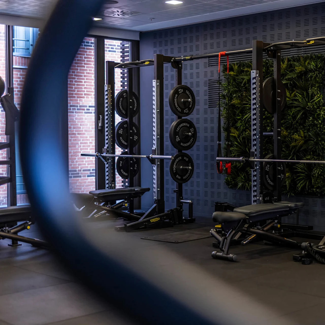 A workout area with two power racks equipped with weight plates and benches.
