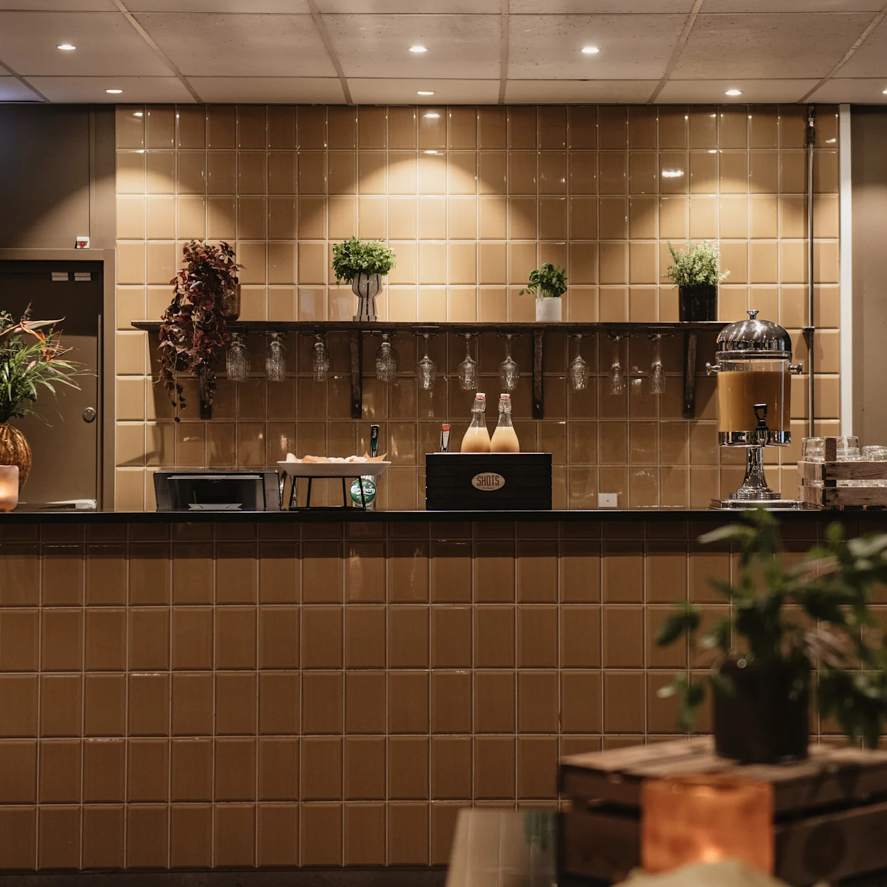 A tan-tiled bar with a dark countertop holds plants, glasses, and bottles, surrounded by warm lighting. A decorative shelving unit displays more plants and glasses above the bar area.