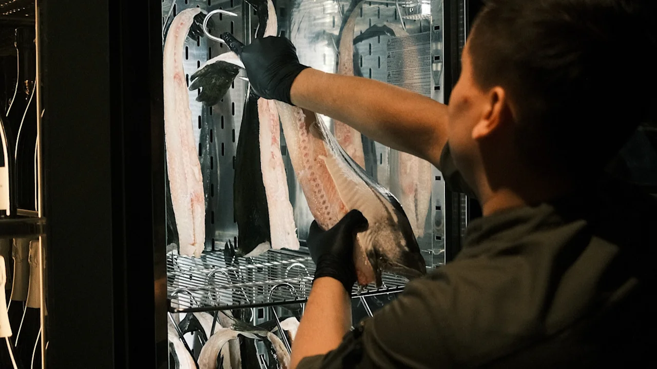 En person i sorte handsker arrangerer fiskefileter i en køler på Sjøbua, Hotel Brosundet i Ålesund.