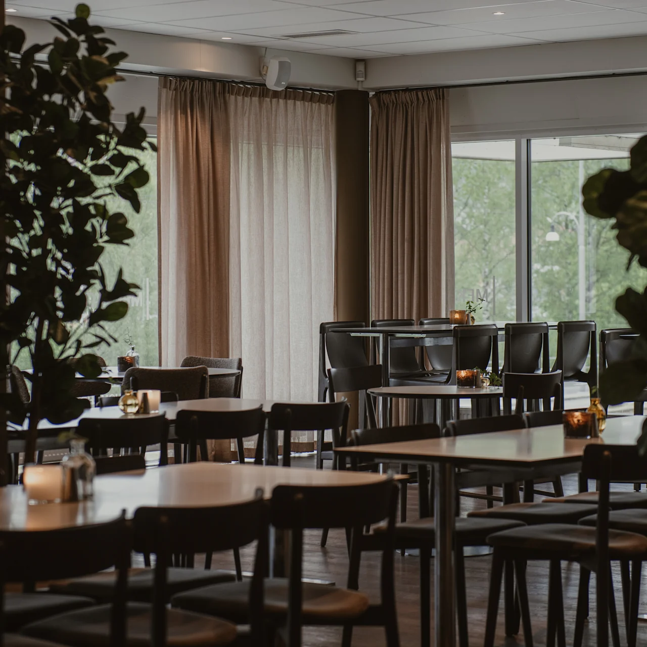 Tables with black chairs are arranged in a dimly lit restaurant. Candles on tables create a cozy ambience. Large curtained windows and potted plants provide a serene, natural backdrop.