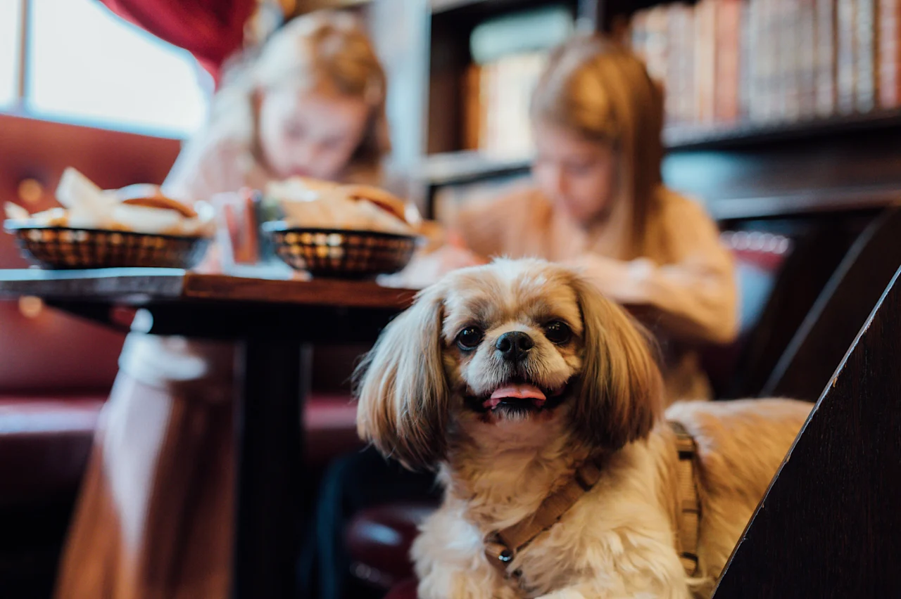 Koira katsoo kameraan kahden lapsen nauttiessa ateriasta pöydän ääressä viihtyisässä sisätilassa. 🐾
