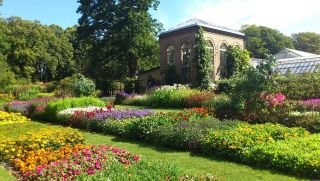 Lund - Botaniska trädgården