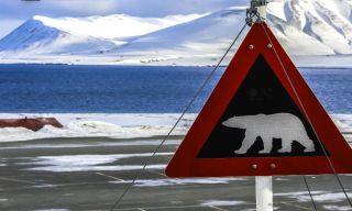 featured-svalbard-polar-bear-sign-winter.jpg
