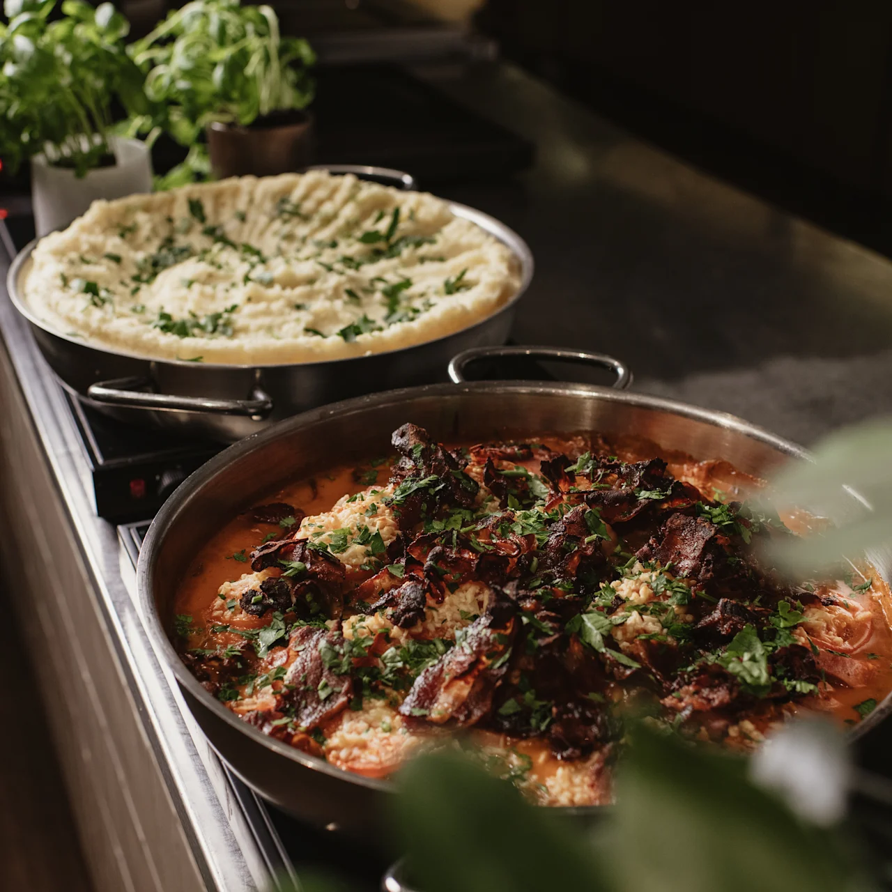 A large pan of baked pasta topped with herbs and roasted meat sits on a dark countertop, adjacent to a dish of creamy mashed potatoes, surrounded by potted herbs.