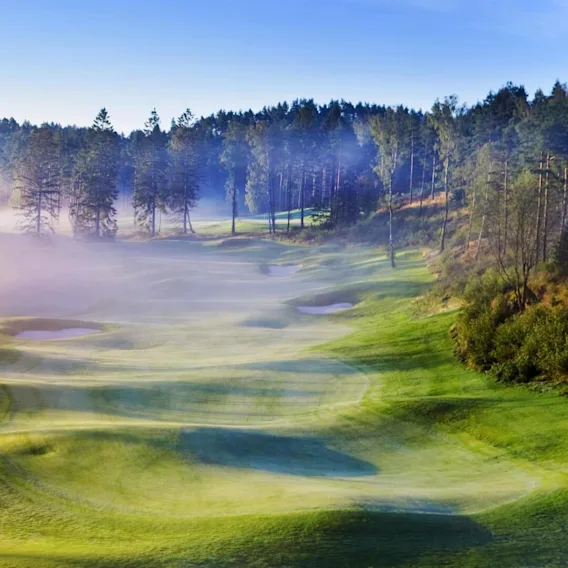 Golf course.