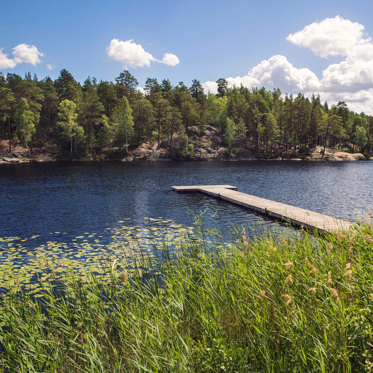 En brygga av trä sträcker sig ut i en lugn sjö omgiven av frodiga gröna skogar under en delvis molnig himmel. Vass och näckrosor pryder vattenkanten.
