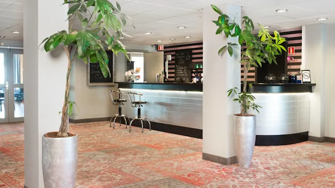 A modern cafe interior with a counter, stools, potted plants, and a stylish carpet. No text.