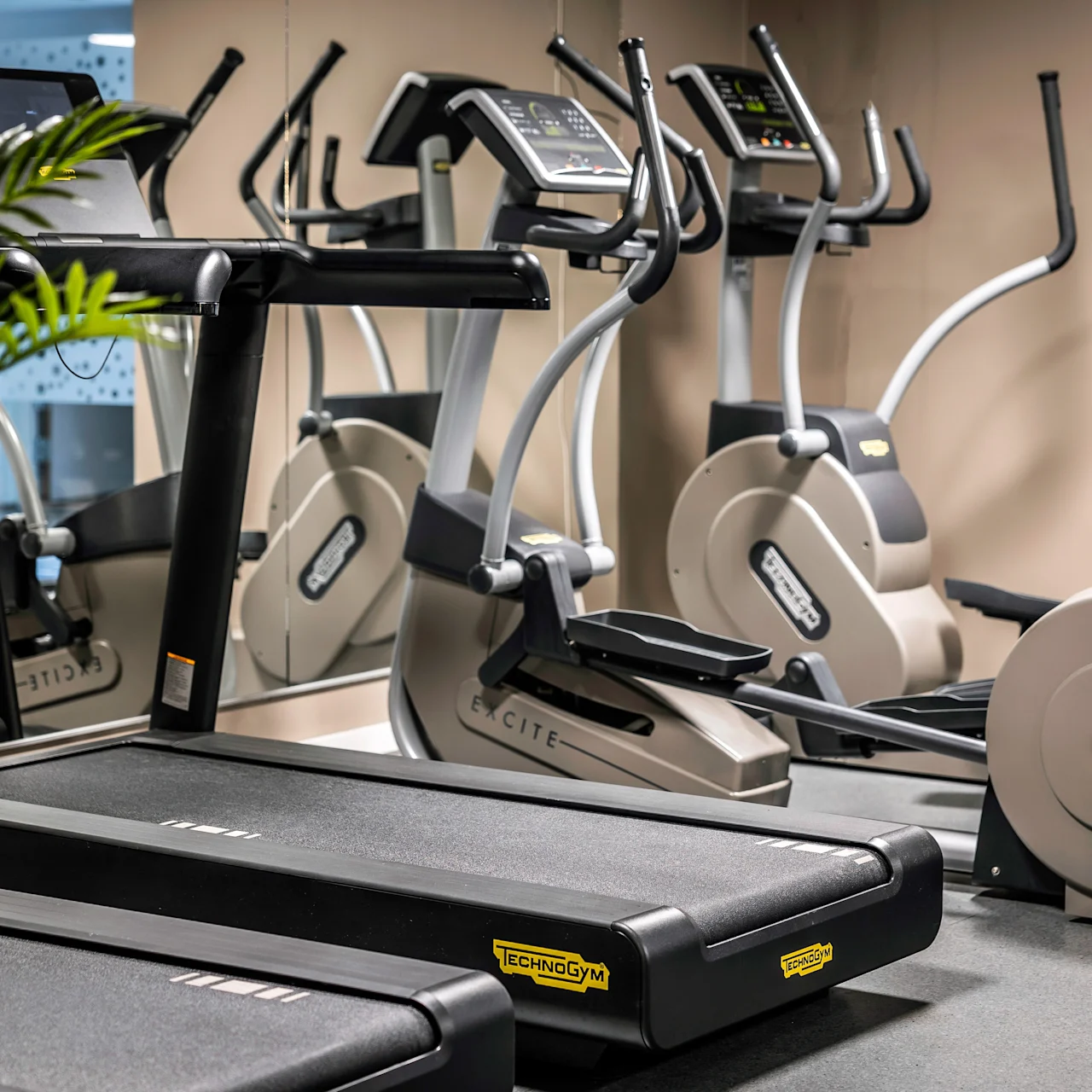 Löpband och ellipstränare står stilla i ett gym, reflekterade i speglar. "Technogym"-loggor syns på utrustningen. En krukväxt delvis blockerar sikten i förgrunden.