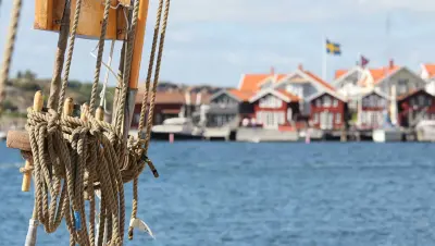 Marine details in Gothenburg archipelago