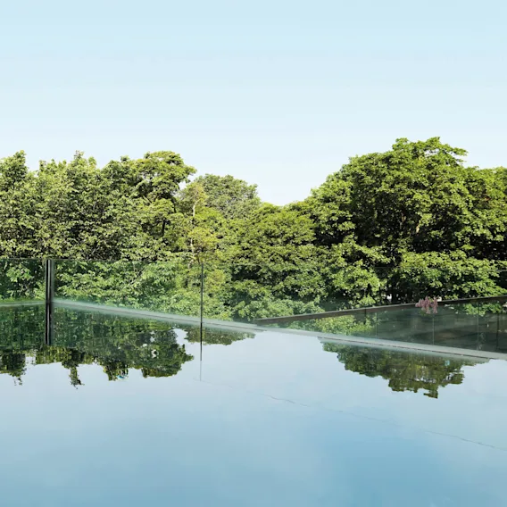 Infinity pool reflects lush green trees against a clear sky backdrop, bordered by glass fencing.