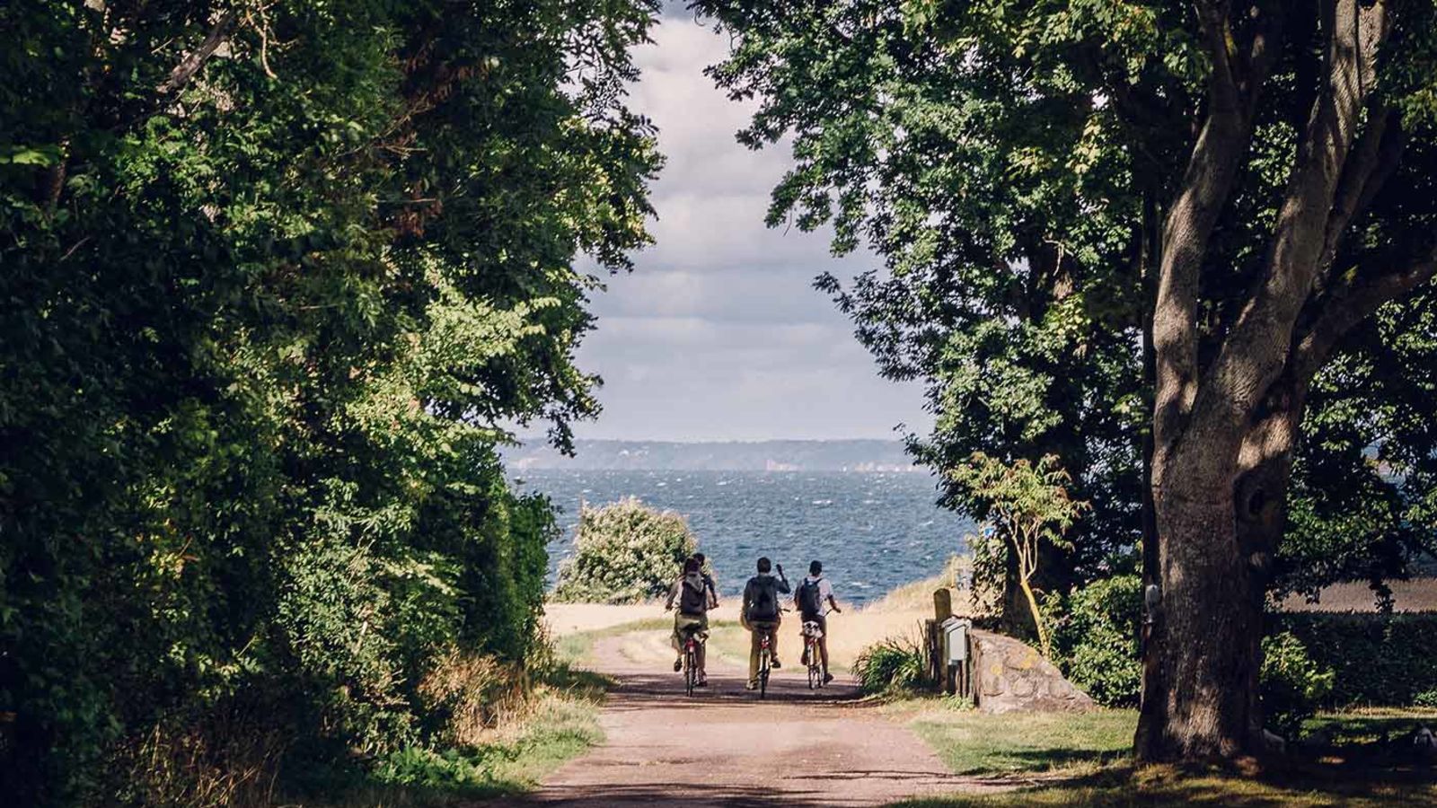 En somrig cykeltur på ön Ven. Foto: Viktor Silfverhjelm Hultqvist