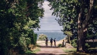 En somrig cykeltur på ön Ven. Foto: Viktor Silfverhjelm Hultqvist