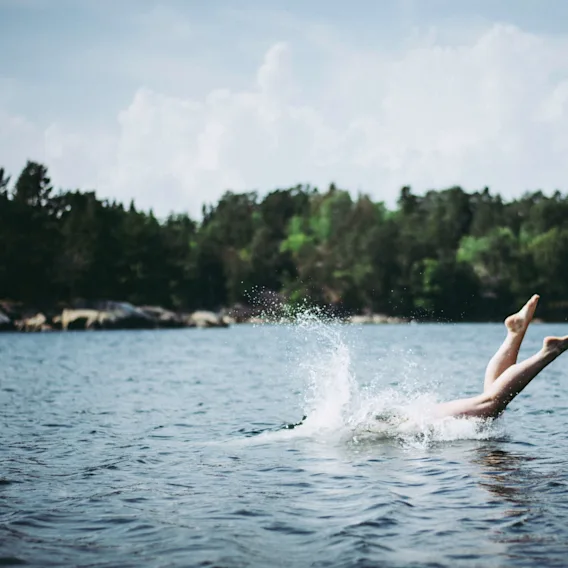 The Summer Flee - swim in a lake