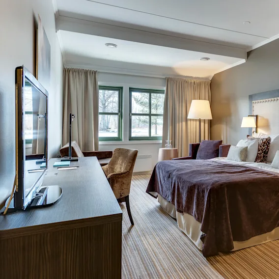 A well-kept hotel room features a double bed with multiple pillows, flanked by two nightstands with lamps. A window shows a tree-lined view, with a desk and chair nearby.