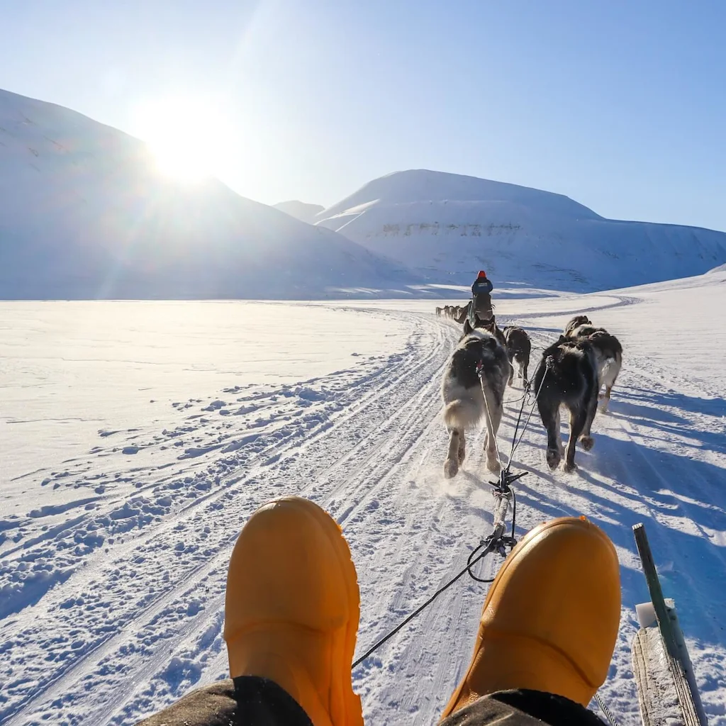 A dogsled team led by a musher moves across a snowy landscape, with a view of the rider's boots in the foreground.