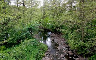 Dumme-Mosse-park-jonkoping