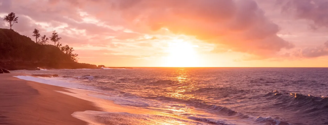 Sunset on a beach near a rain forrest. 