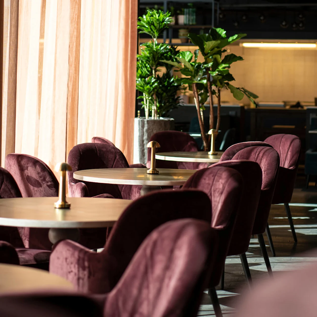 Purple velvet chairs surround round wooden tables with small lamps, situated near tall plants and semi-transparent beige curtains in a sunlit modern cafe.