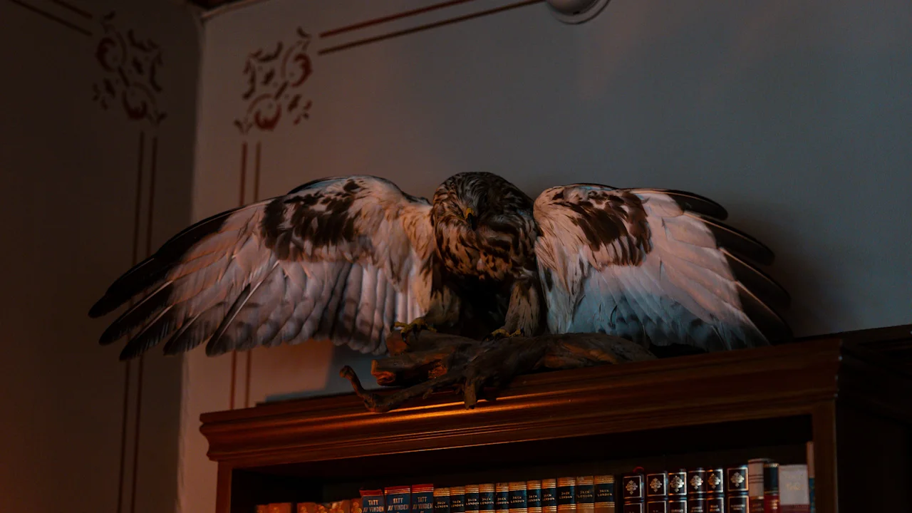 A well-lit library scene in Dalen Hotel, featuring a large bird with outstretched wings perched dramatically atop a bookshelf filled with richly bound volumes.