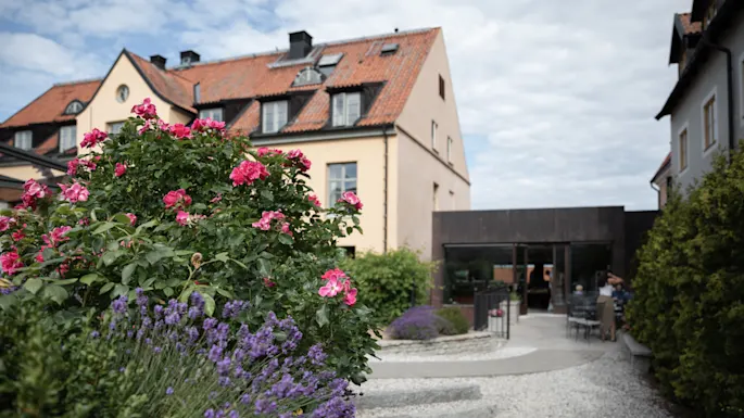 Rosa og lilla blomster blomstrer i en hage, omgitt av en smal sti. Landskapet har en gul bygning med rødt tegltak under en delvis skyet himmel.