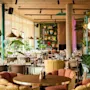 En restaurant med farverige møbler og tropiske planter indenfor, borde dækket med glas og bestik, omgivet af store vinduer der lukker naturligt lys ind.