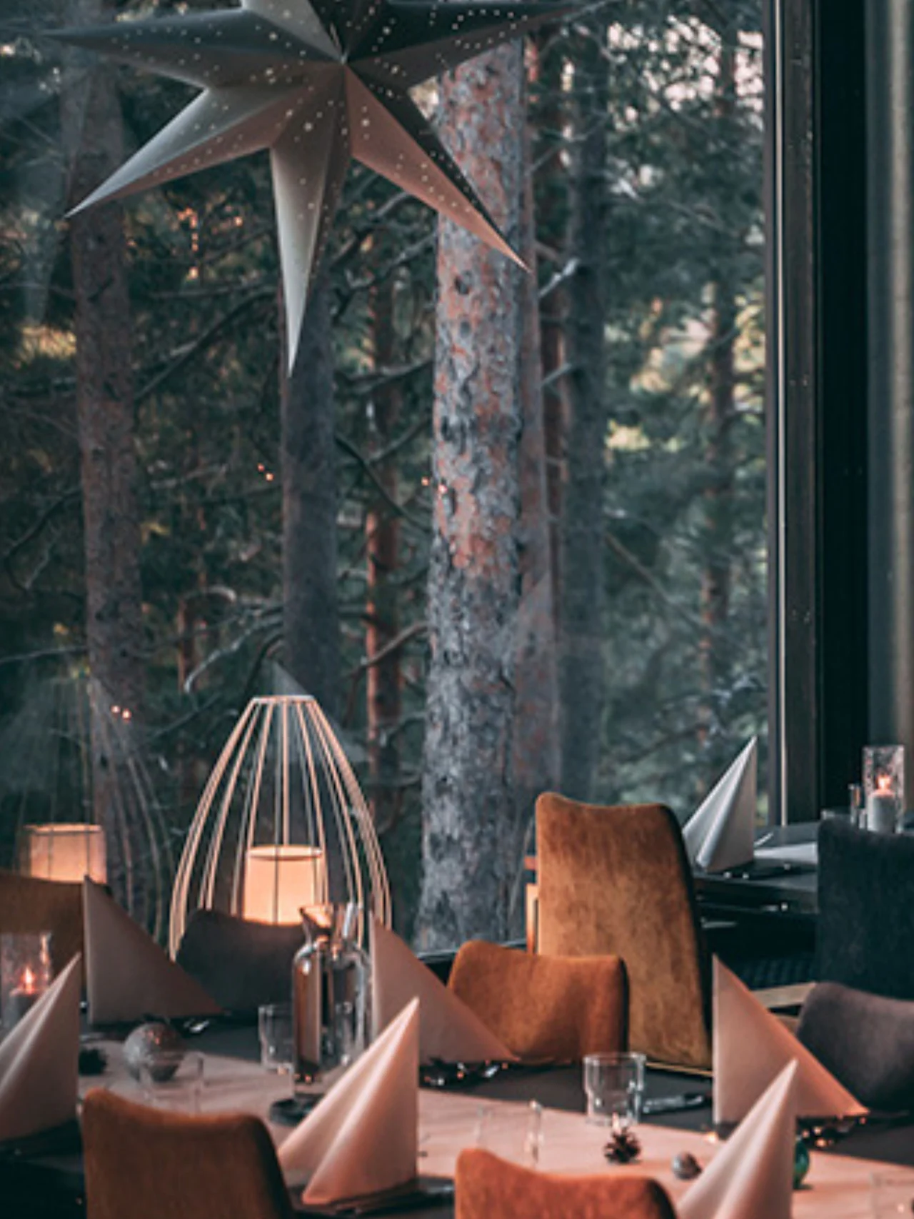 A large decorative star hangs above a table set with folded napkins and glasses in a cozy restaurant. The backdrop features tall trees seen through a window.