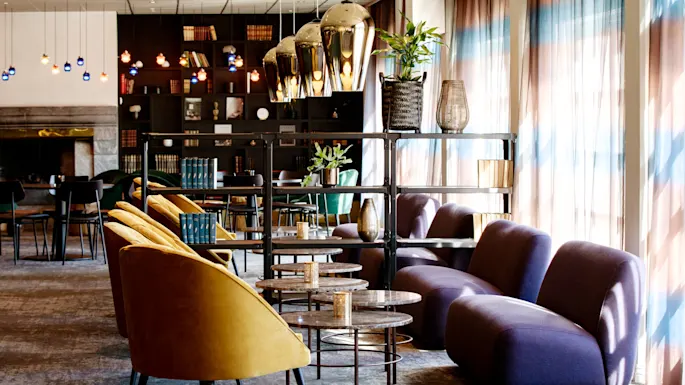 Yellow chairs face round tables in a cozy lounge, with bookshelves and plants. Purple sofas are positioned by sunlit windows with sheer curtains.