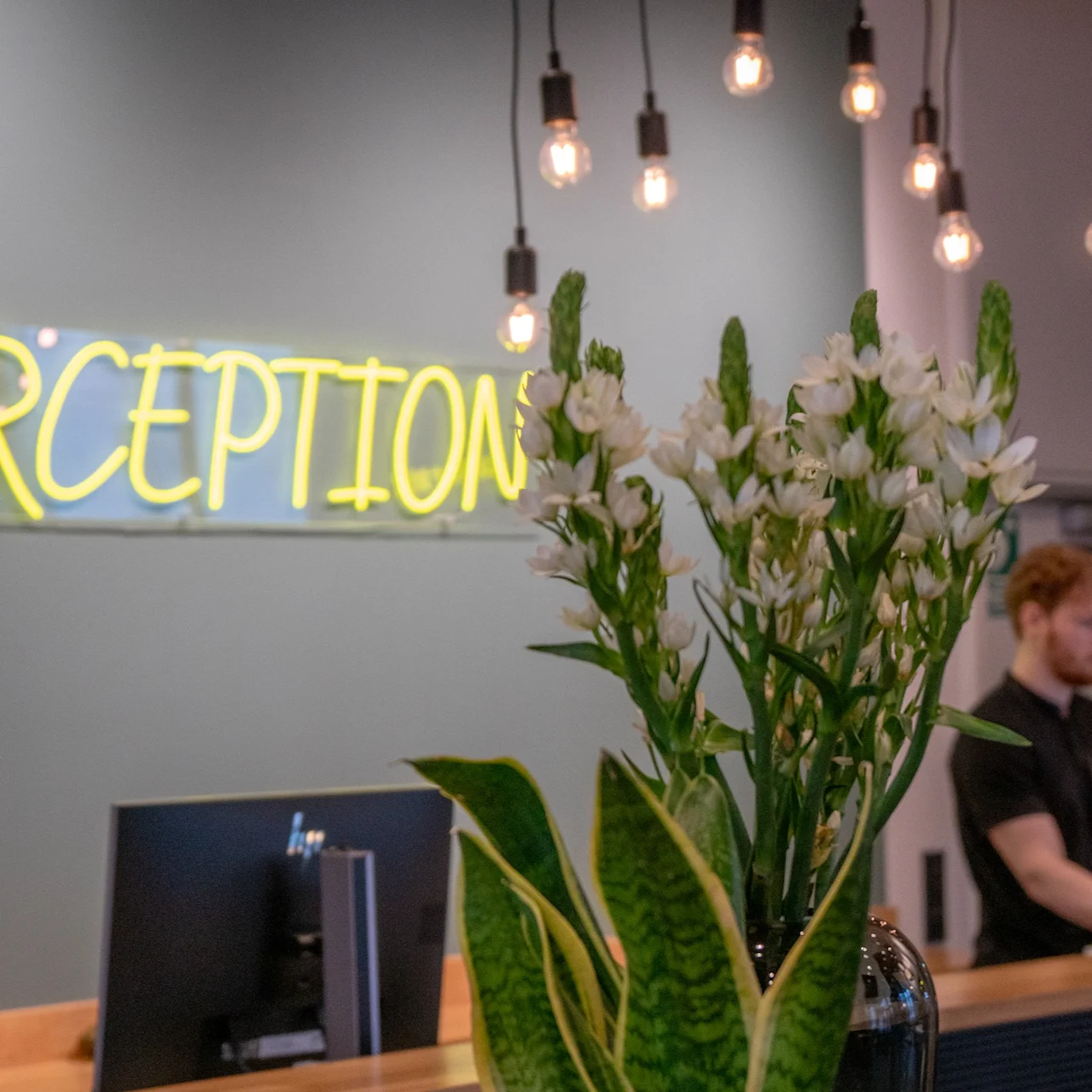 A plant sits on a wooden reception desk, behind which a person uses a computer. Overhead, light bulbs hang, and a neon sign reads "BARCEPTION" on the wall.